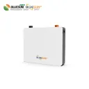 10KWH LITHIUM BATTERY POWERWALL(LV)BS